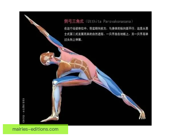 体操规则解析与技巧分享及相关比赛常识