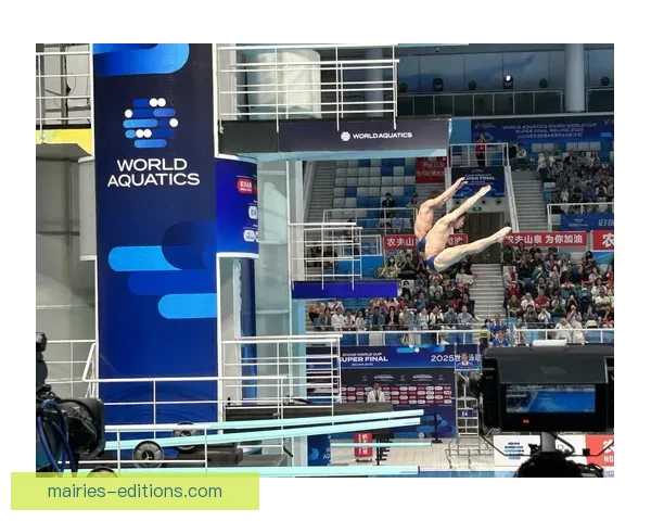 跳水赛程大揭秘：深入了解各类跳水项目和规则